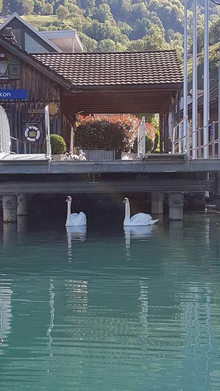 Hotel Sternen Sisikon Bagian luar foto