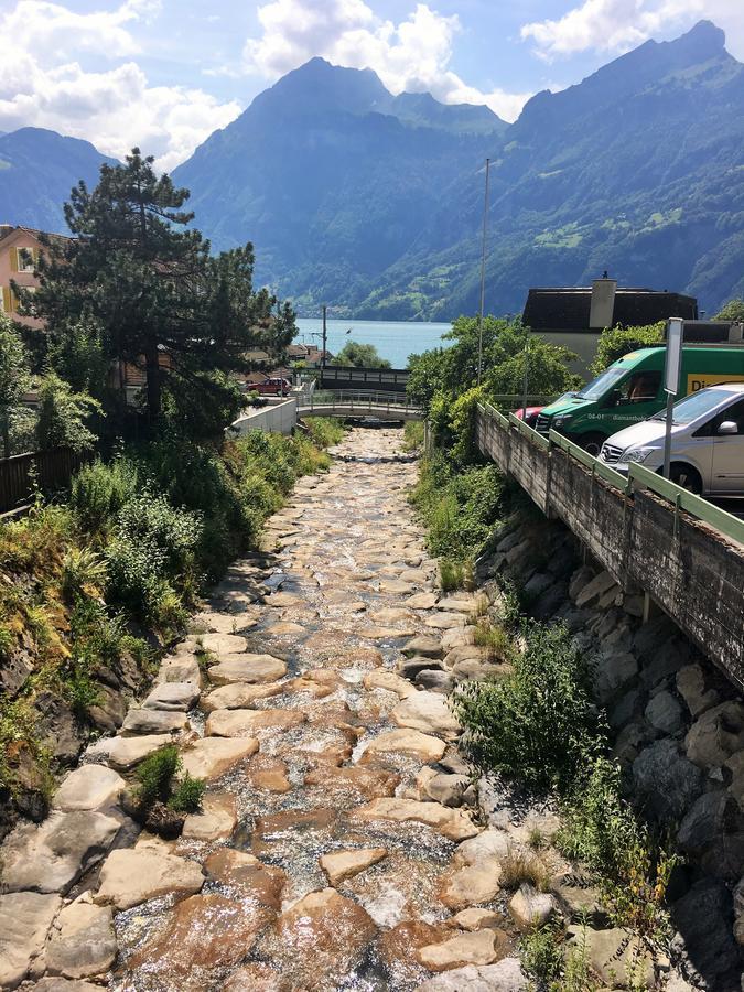 Hotel Sternen Sisikon Bagian luar foto